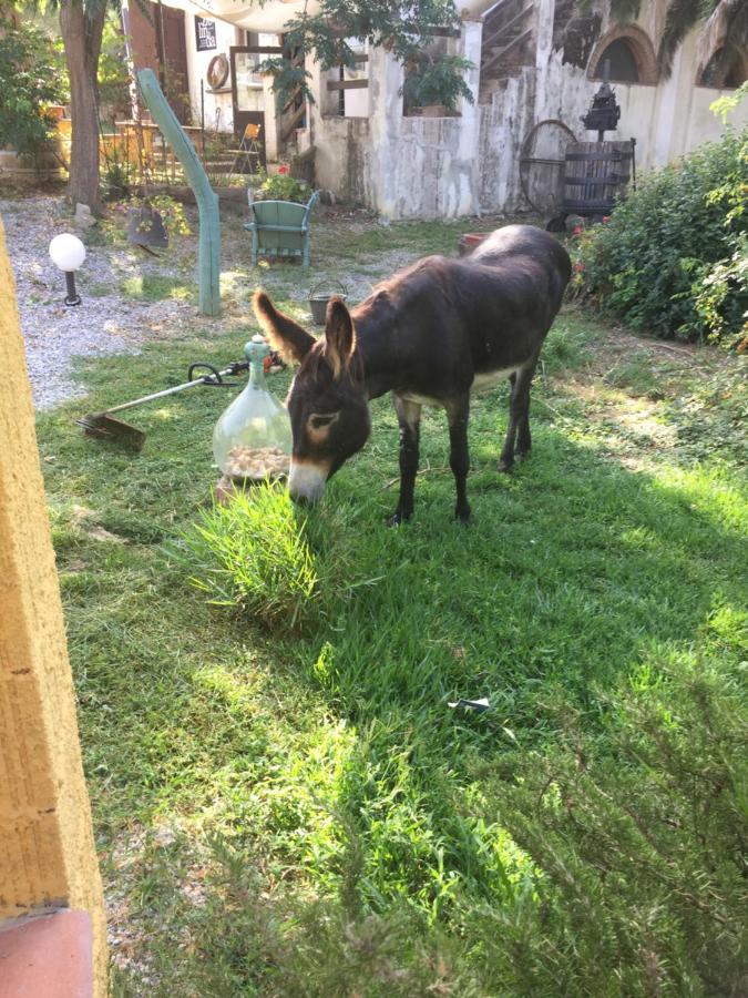 Le Stanze Di Zelinda Villa Suvereto Kültér fotó